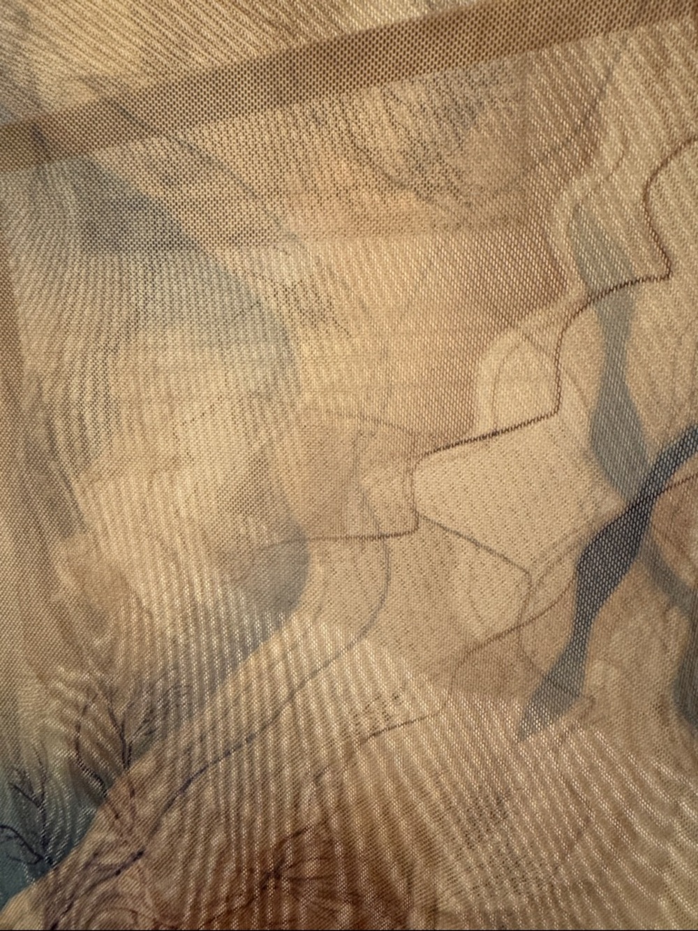 Long Sleeve Abstract Print MaxiDress in Brown & Blue Mesh - Picture 10 of 10